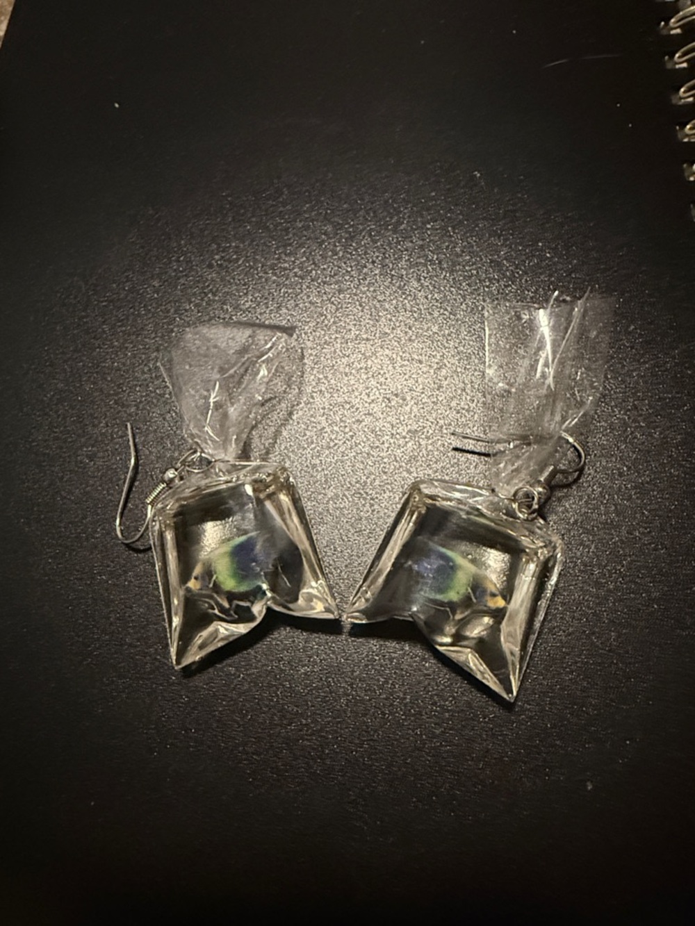 Novelty Clear Fishbowl Dangle Earrings